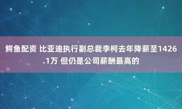 鳄鱼配资 比亚迪执行副总裁李柯去年降薪至1426.1万 但仍是公司薪酬最高的